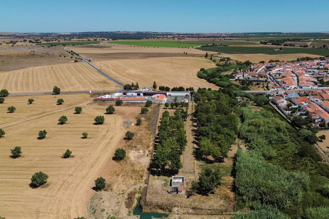 Farm Ranch in Santa Vitoria e Mombeja, Beja District, Portugal 5 - 15894721