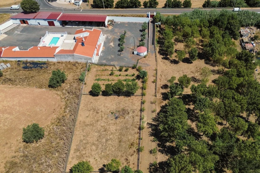 Farm Ranch in Santa Vitoria e Mombeja, Beja District, Portugal 3 - 15894721