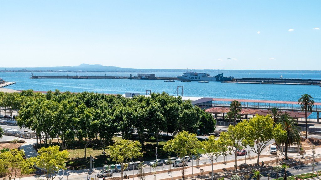 Apartment in Palma, Balearic Islands, Spain 3 - 12892793