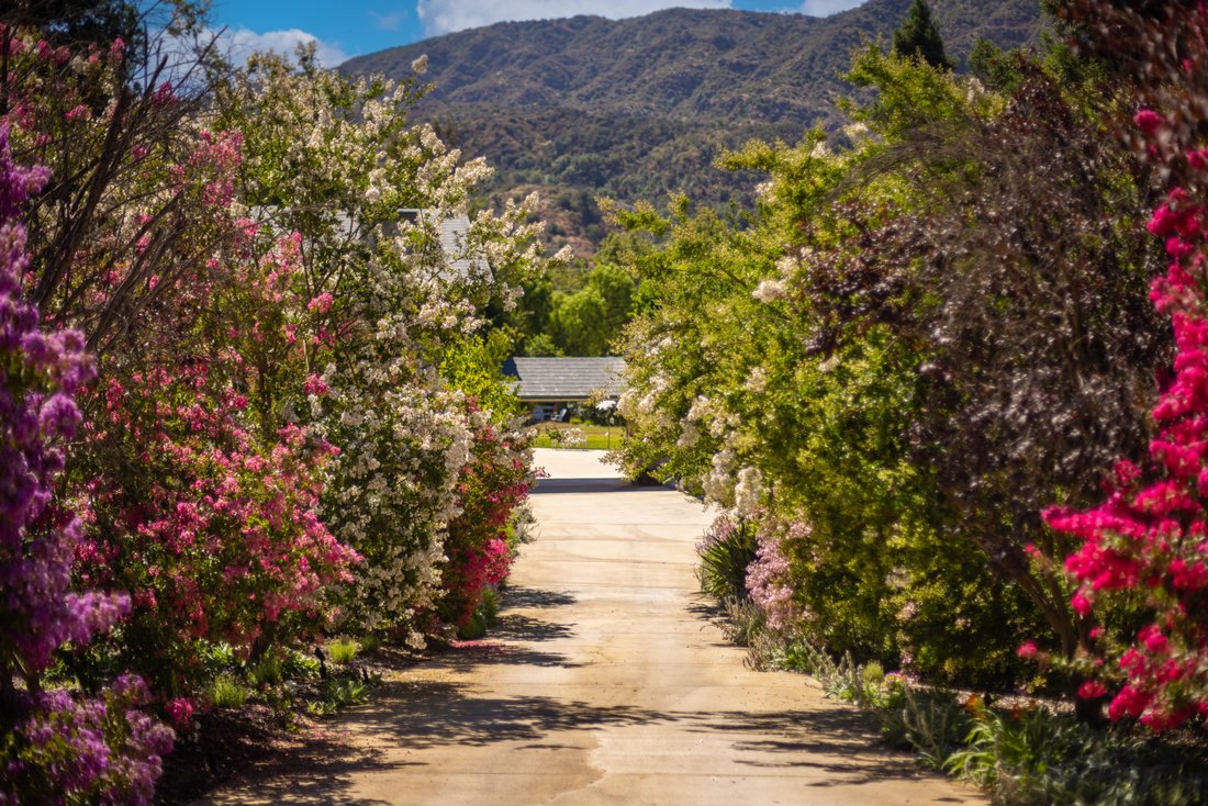 Haus in Ojai, Kalifornien, Vereinigte Staaten 3 - 15895373