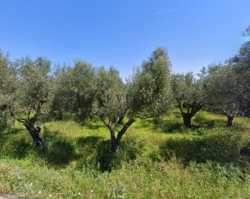 Land in Lithakias, Laganas, Greece 4 - 15895079