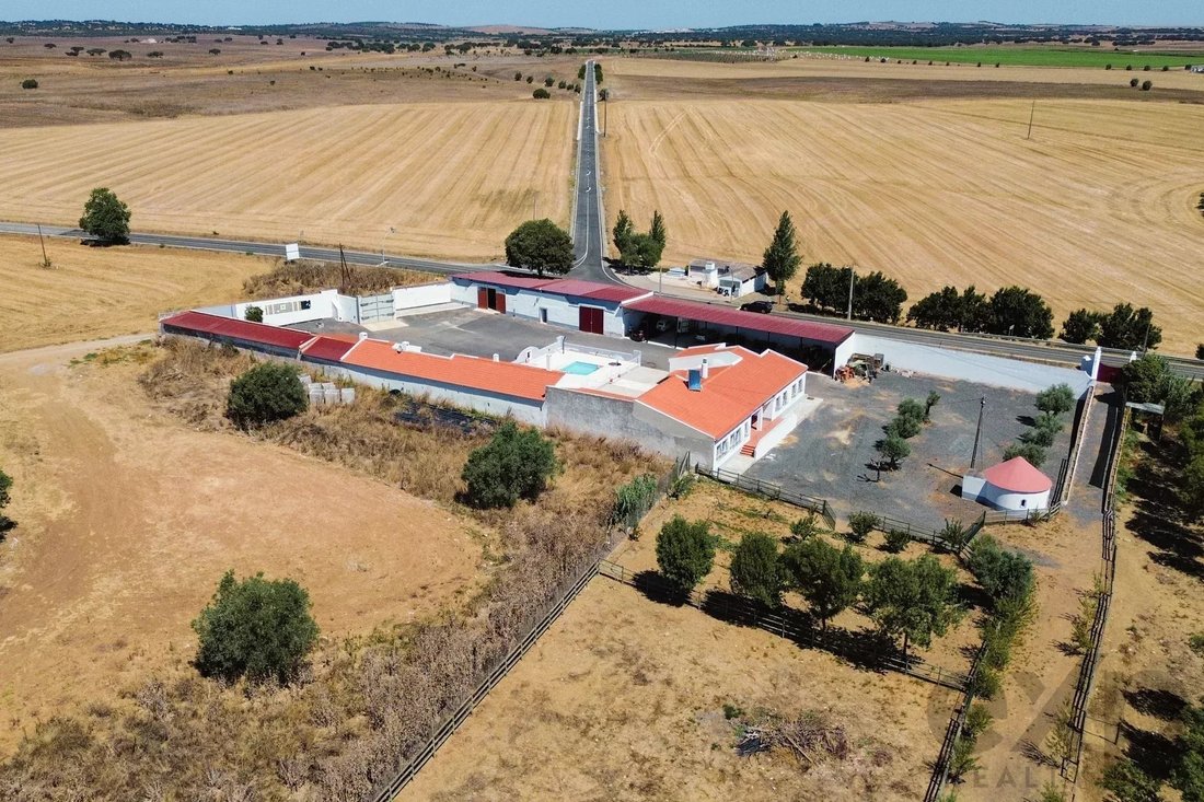 Farm Ranch in Santa Vitoria e Mombeja, Beja District, Portugal 4 - 15894721