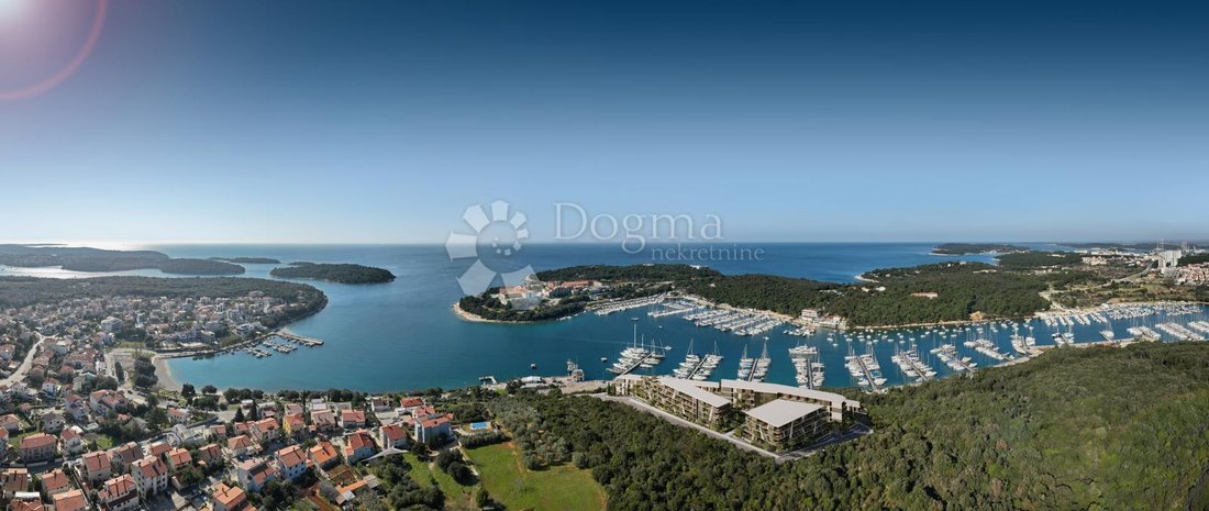 Apartment in Pjescana Uvala, Istria County, Croatia 2 - 15896242