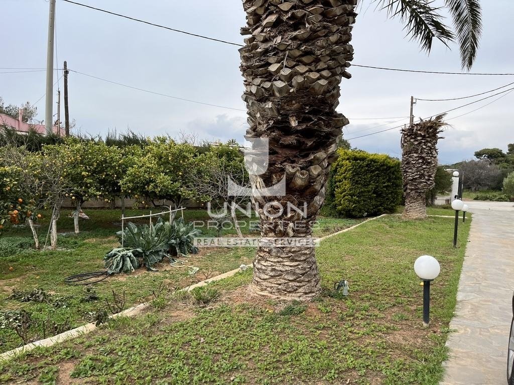 House in Kalyvia Thorikou, Attica, Greece 4 - 15896180