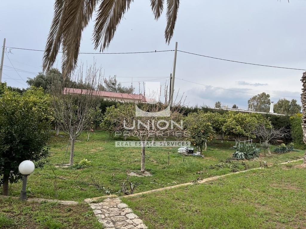 House in Kalyvia Thorikou, Attica, Greece 2 - 15896180