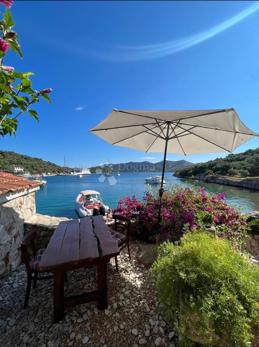 House in Rava, Zadar County, Croatia 1 - 15896097
