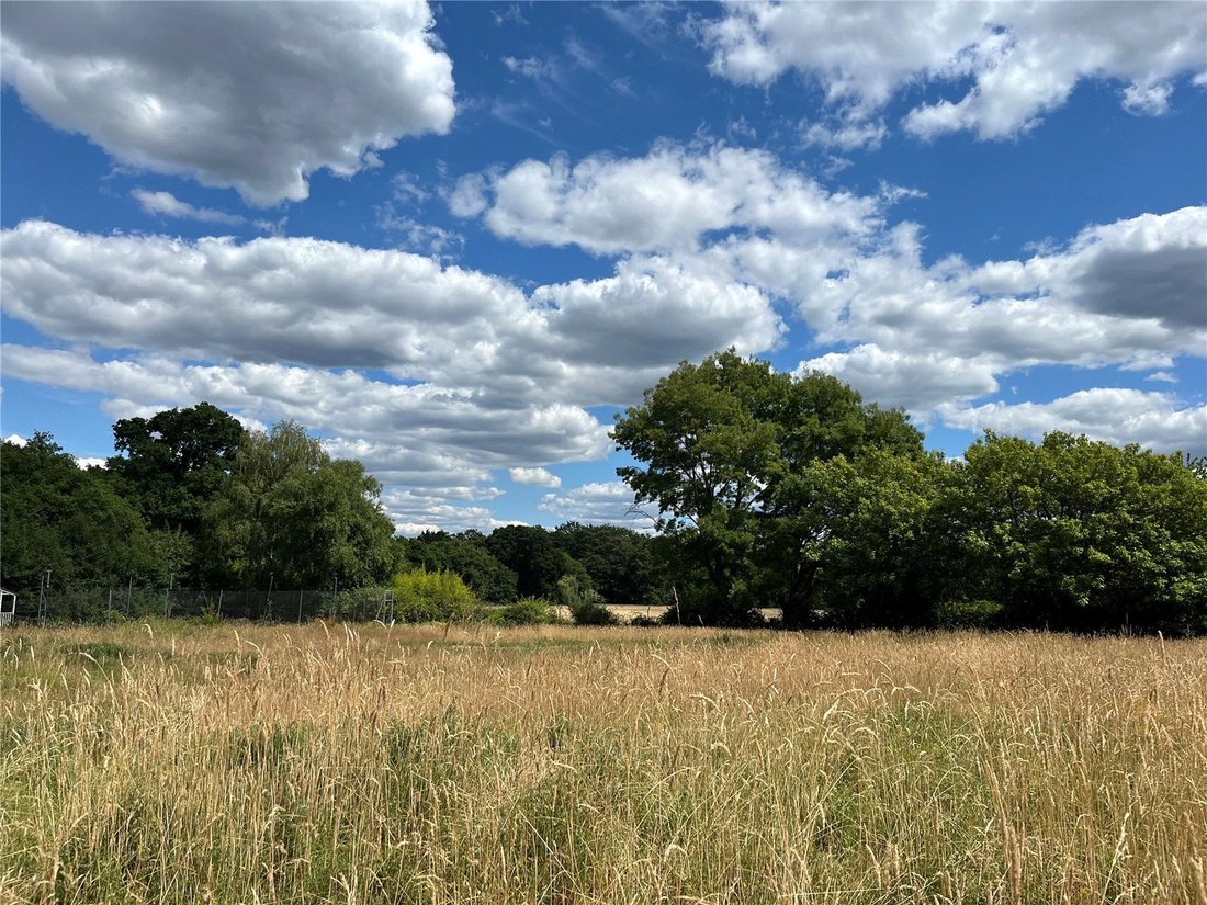 Terrain en Sunningdale, Angleterre 3 - 15894783