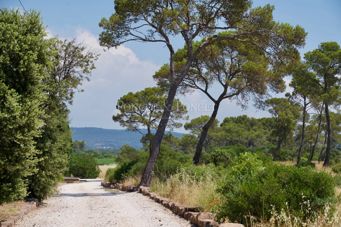 Estate in Brignoles, Provence-Alpes-Côte d'Azur, France 5 - 15594248