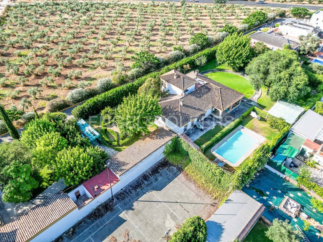 House in Valencina de la Concepcion, Andalusia, Spain 5 - 15895868