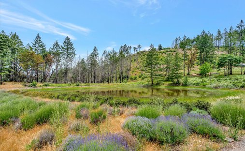 Land in Santa Rosa, California, United States 1