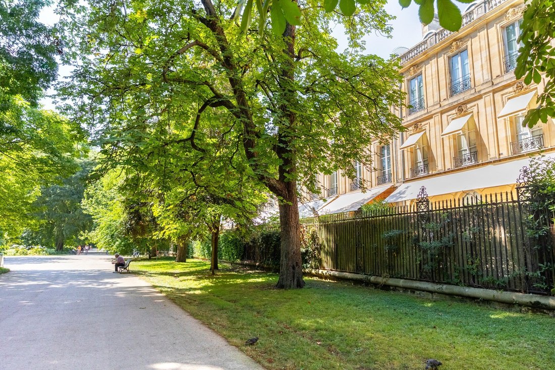 Apartment in Hôtel de Ville-Quinconce-Saint Seurin-Fondaudège, Bordeaux, France 2 - 15897082