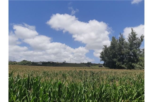 Land in Relva, Azores, Portugal 2 - 15898919