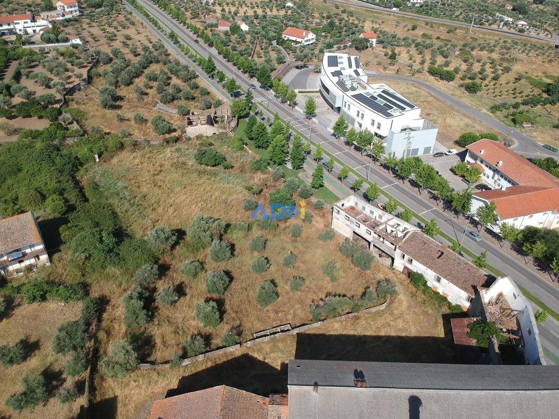 Farm Ranch in Castelo Branco, Castelo Branco District, Portugal 1 - 15898500