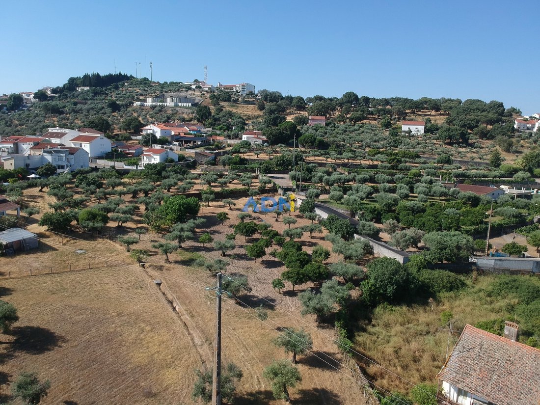 Farm Ranch in Castelo Branco, Castelo Branco District, Portugal 4 - 15898500
