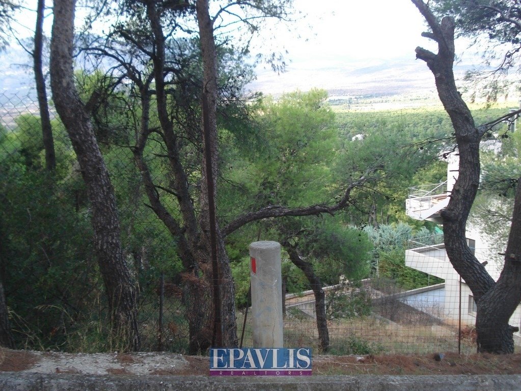 Land in Ekali, Attica, Greece 2 - 15871353