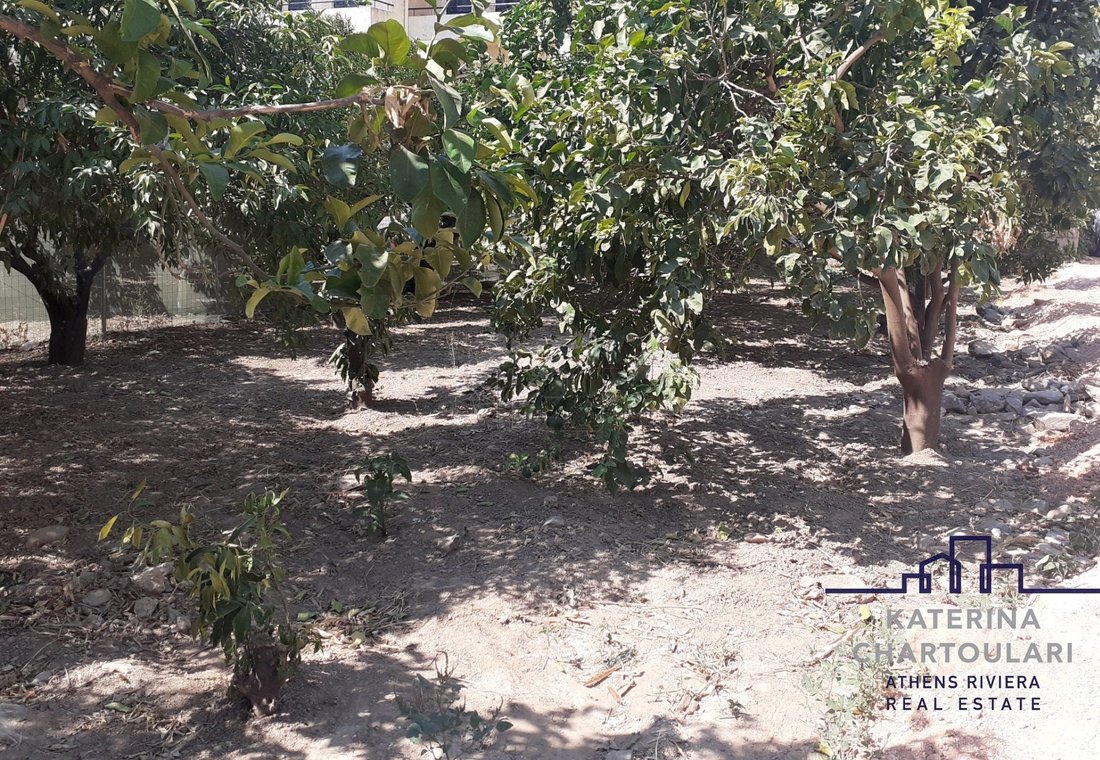 Land in Vari, Attica, Greece 1 - 13115704