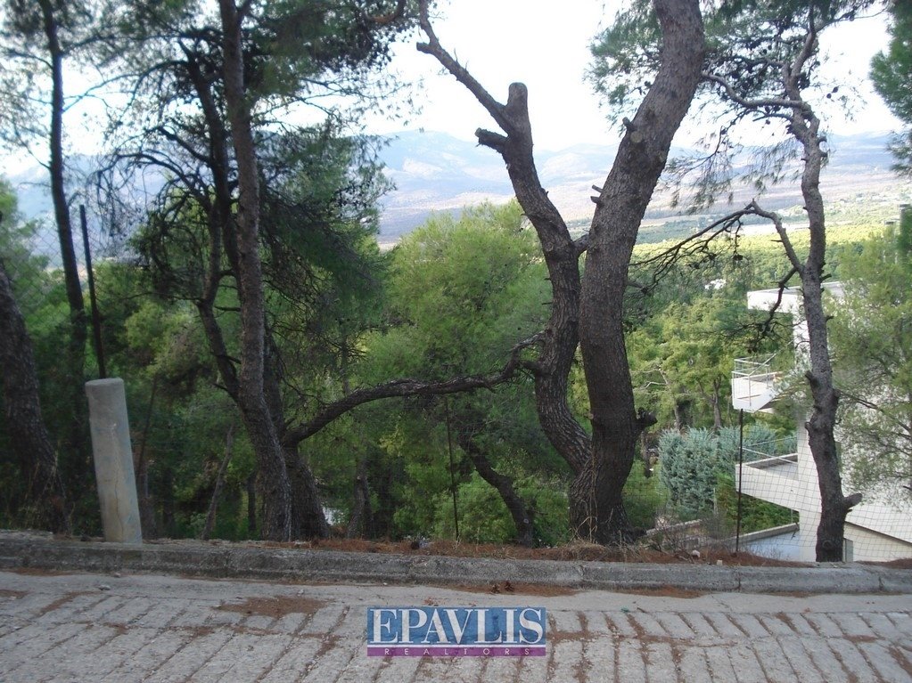 Land in Ekali, Attica, Greece 5 - 15871353