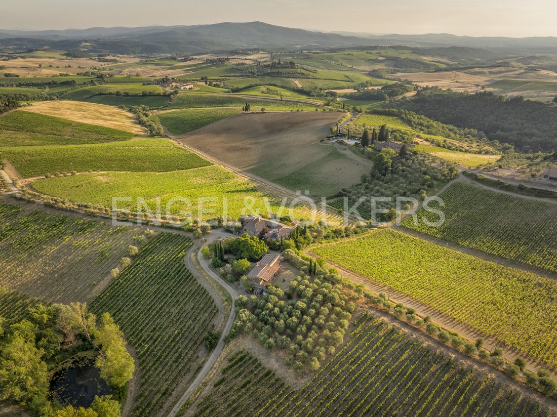 Maisons de campagne à Castellina in Chianti, Toscane, Italie 1 - 15898155