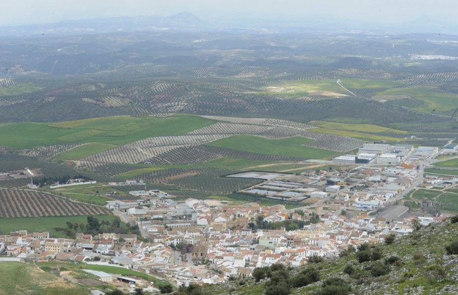 Land in Alameda, Andalusia, Spain 4 - 15903266