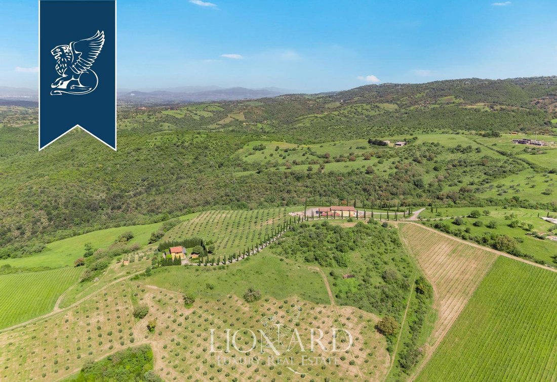 Villa in Magliano in Toscana, Tuscany, Italy 3 - 15901773