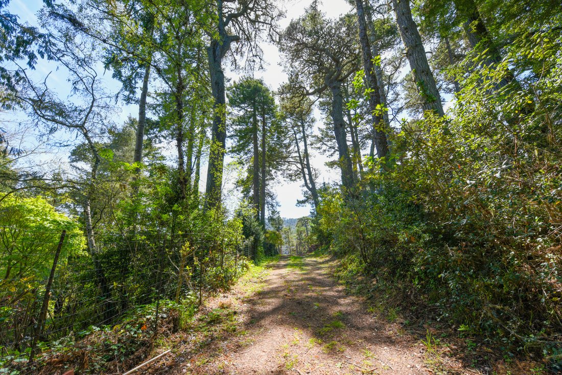 Land in Inverness, California, United States 4 - 15902637