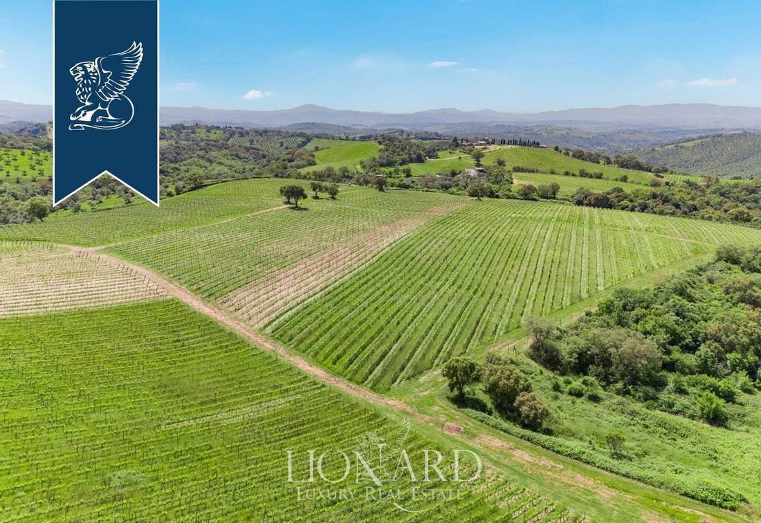 Villa in Magliano in Toscana, Tuscany, Italy 5 - 15901773