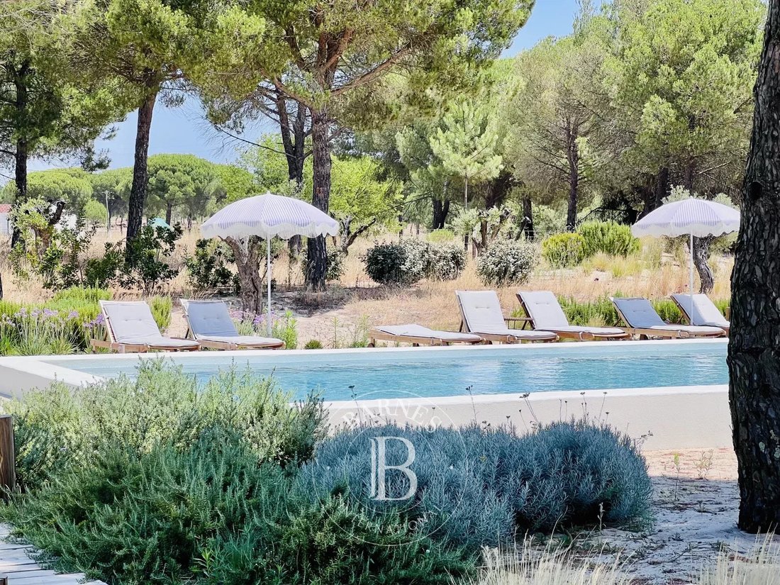 Villa in Grandola e Santa Margarida da Serra, Setubal, Portugal 4 - 15900046