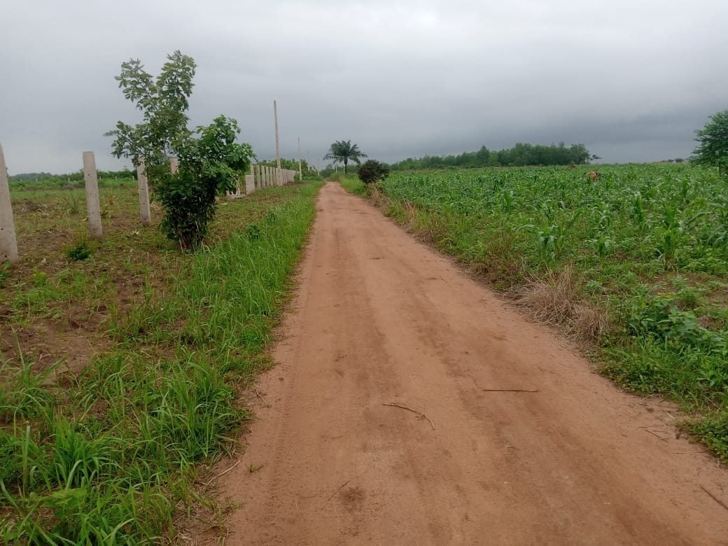 Land in Tori Bossito, Atlantique Department, Benin 3 - 15904043