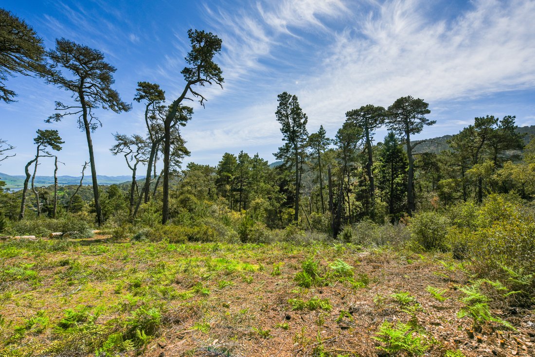 Land in Inverness, California, United States 1 - 15902637