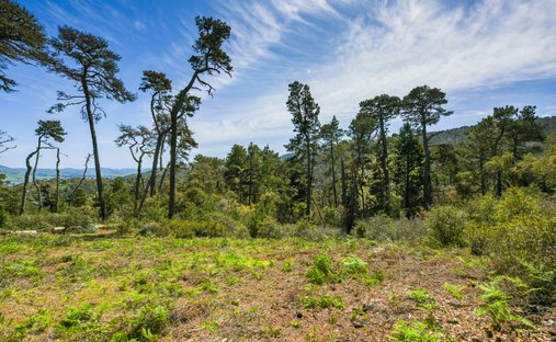 Land in Inverness, California, United States 1