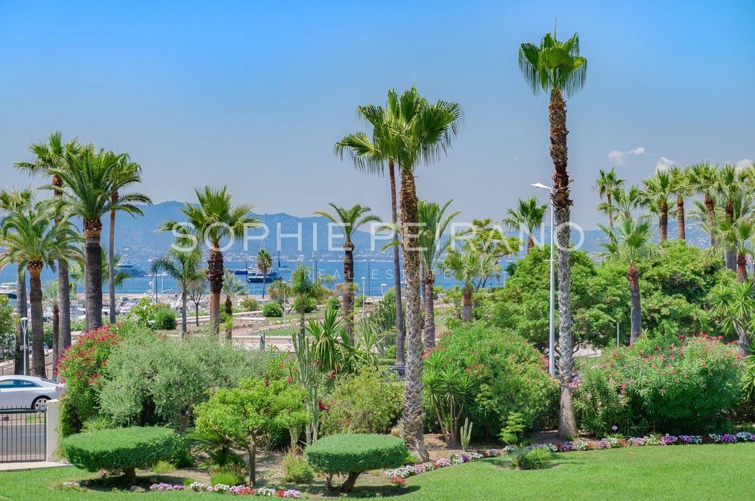 Apartment in Cannes, Provence-Alpes-Côte d'Azur, France 1 - 15887583