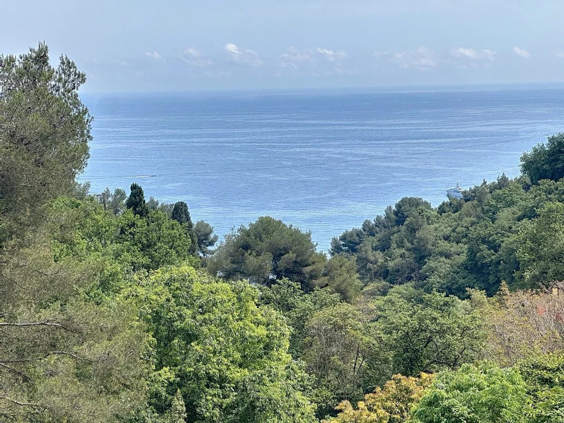 Villa in Village-Cros de Caste-Coupiere-Mont Gros, Roquebrune-Cap-Martin, France 3 - 15899406