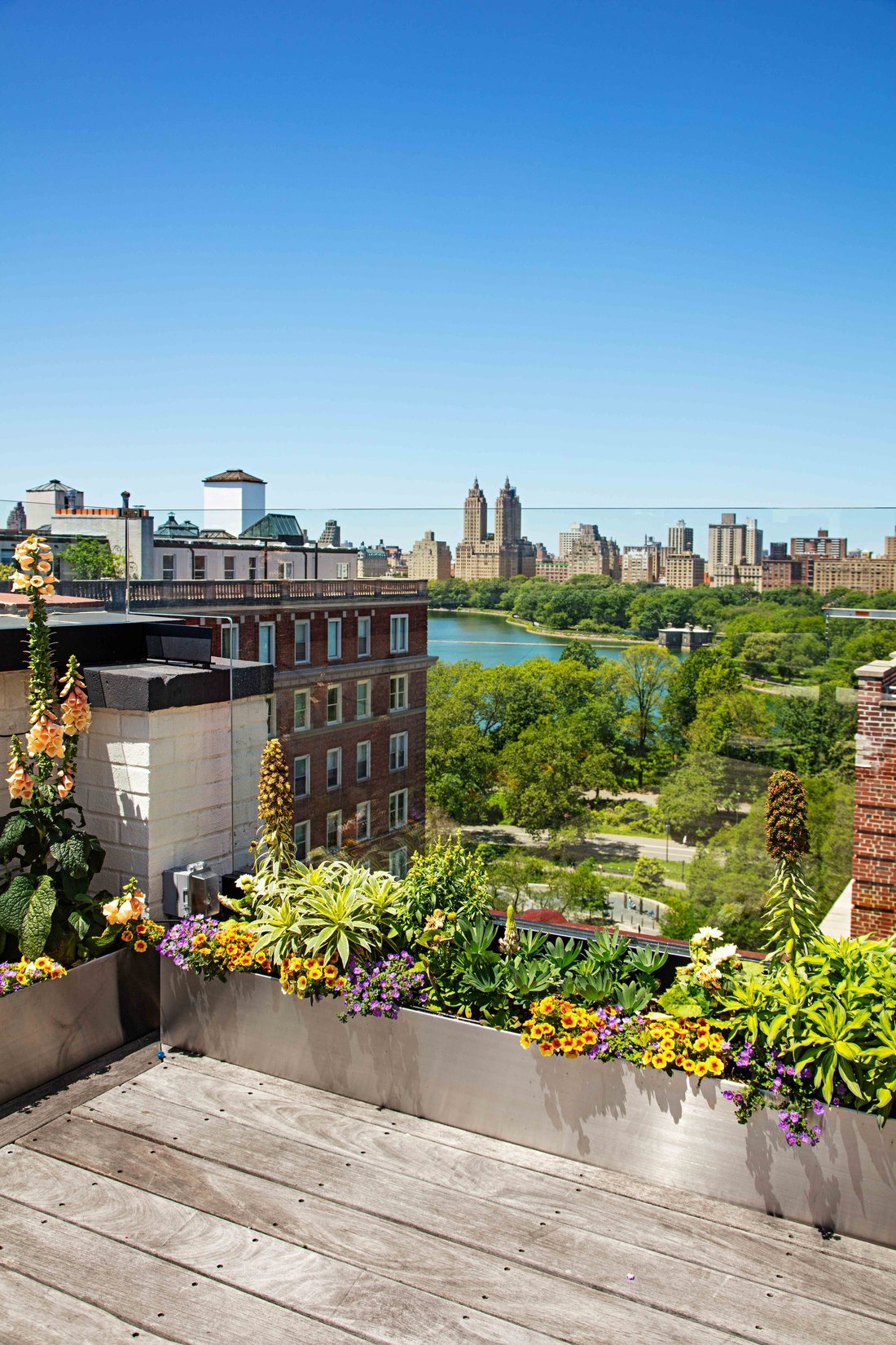 Co Op in New York, New York, United States 1 - 15252019