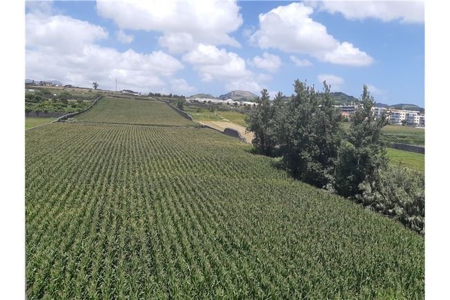Land in Relva, Azores, Portugal 1 - 15898941