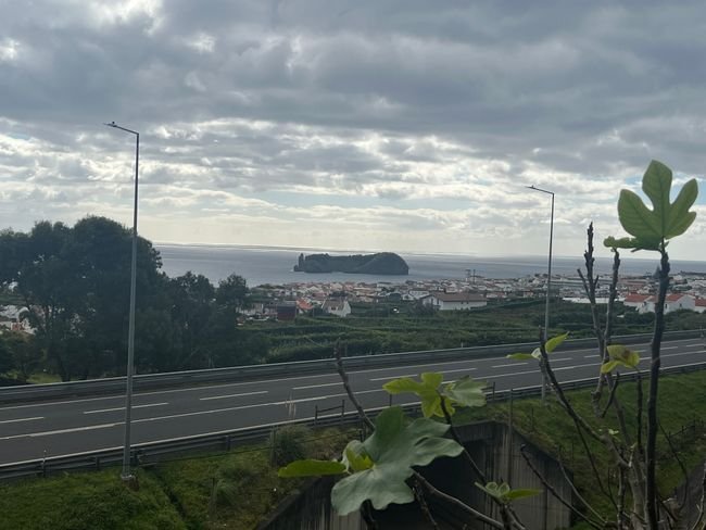 House in Ribeira Seca, Azores, Portugal 1 - 15899974
