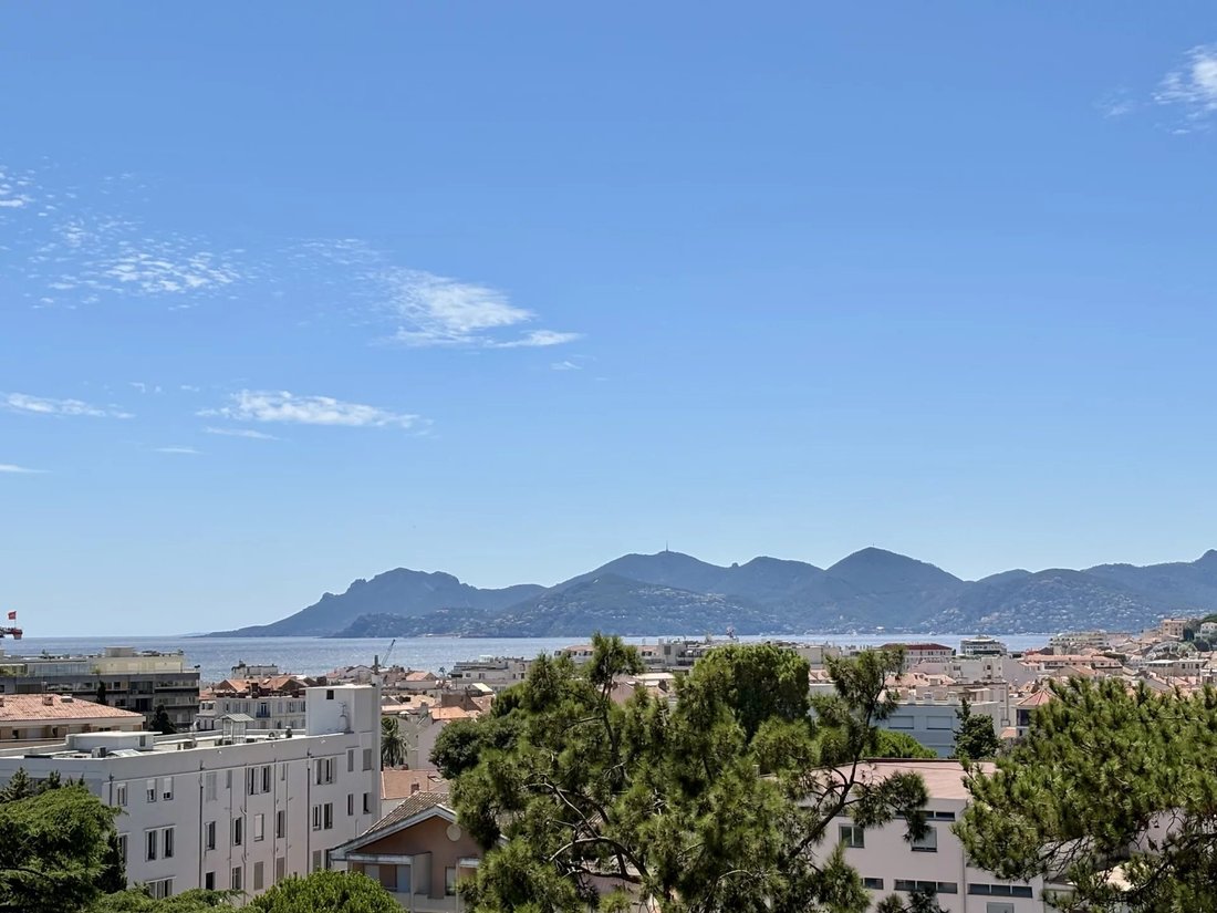 Apartment in Cannes, Provence-Alpes-Côte d'Azur, France 1 - 15894454