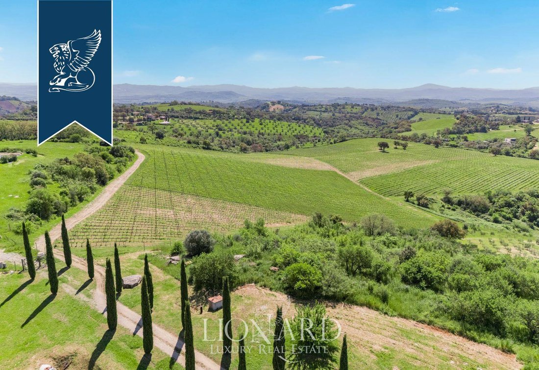 Villa in Magliano in Toscana, Tuscany, Italy 4 - 15901773