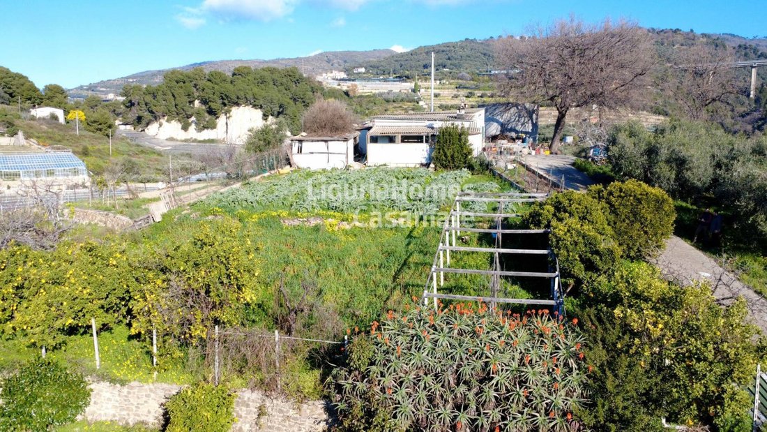 Villa in Santo Stefano al Mare, Liguria, Italy 3 - 15900942
