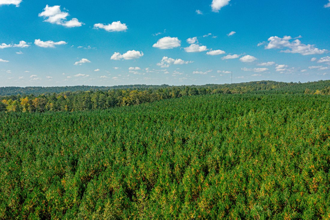 Land In Covington In Covington - 1100xxs 