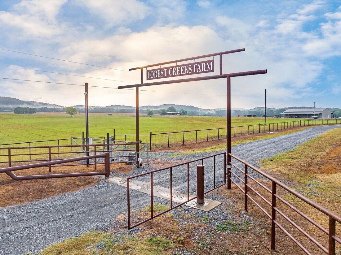 Land In Sylacauga In Talladega - 1100xxs 