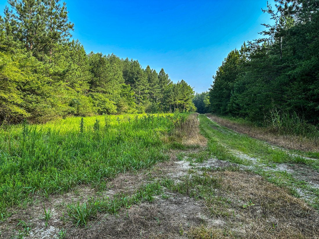 Land In Soddy Daisy In Sale Creek - 1100xxs 