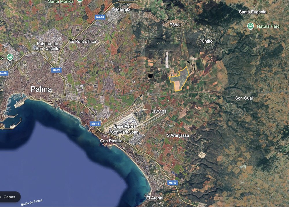 Palma, Balearic Islands, Spain 1 - 15906173