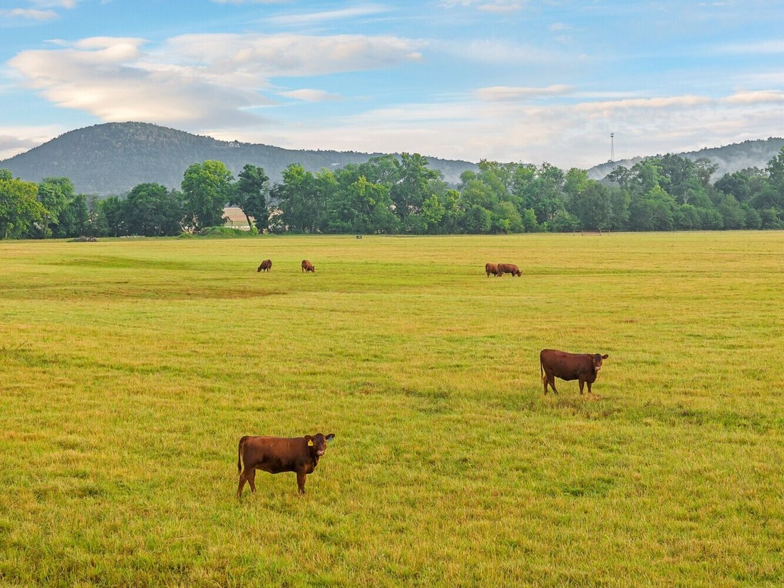 Land In Sylacauga In Talladega - 1100xxs 