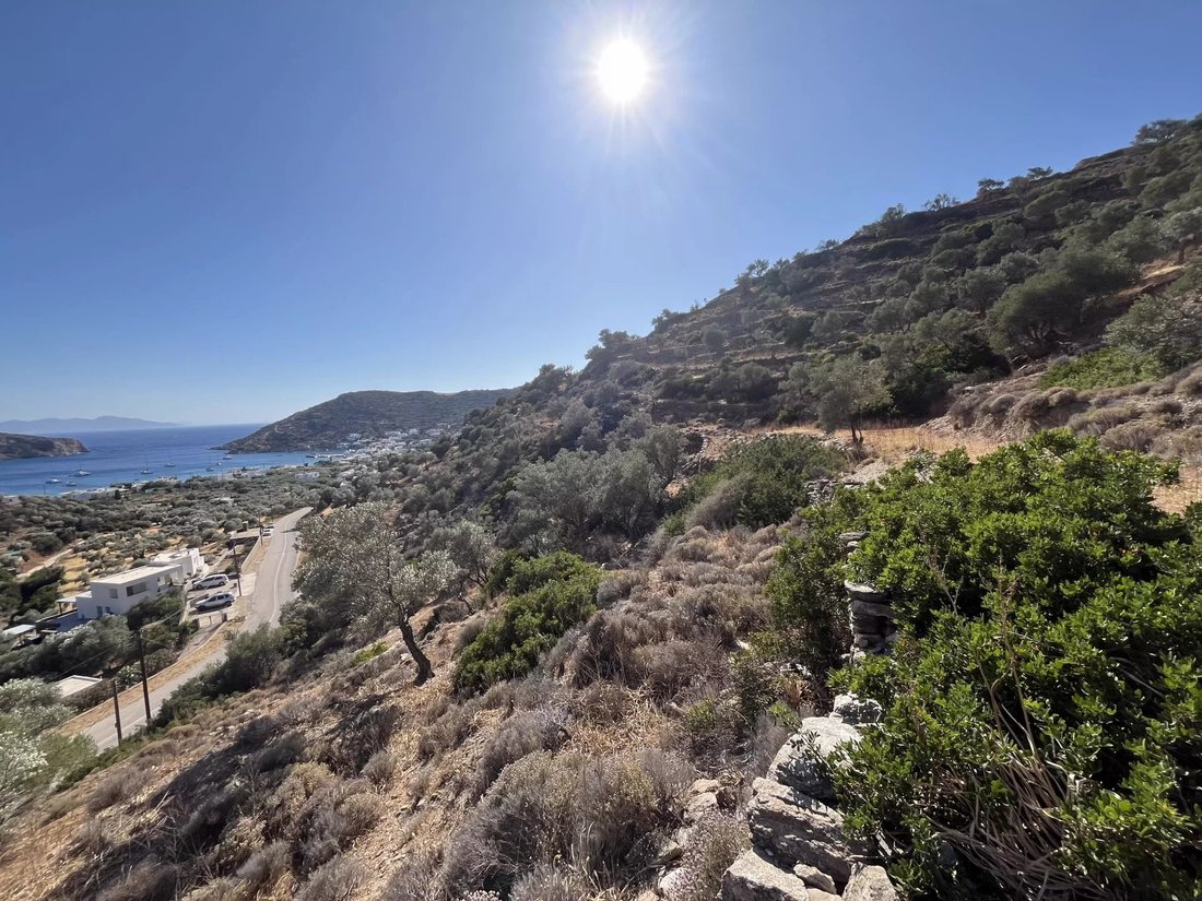 Land in Community of Apollonia, Aegean, Greece 5 - 15906279