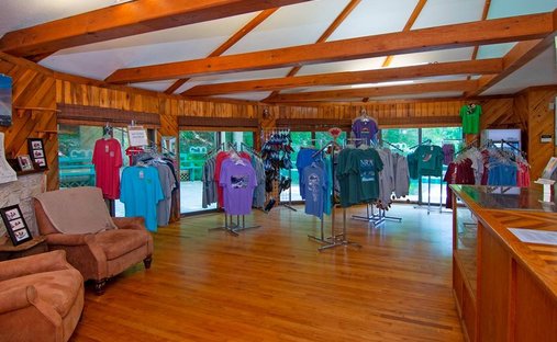 Land for Sale in Lansing West - 507x312xc 