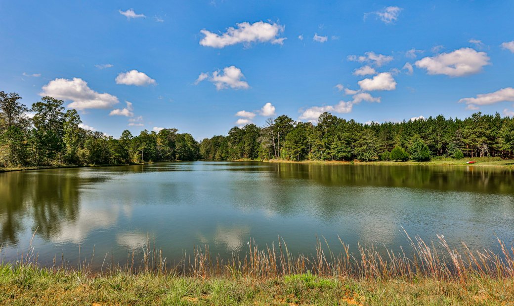 Land In Covington In Covington - 1040x620xc 