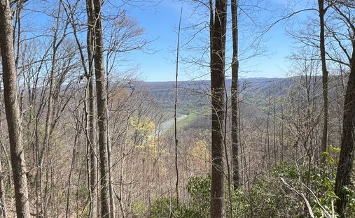 Land for Sale in Piney View West - 507x312xc 