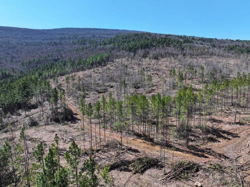 Land in Poteau, Oklahoma, United States 5 - 15904526