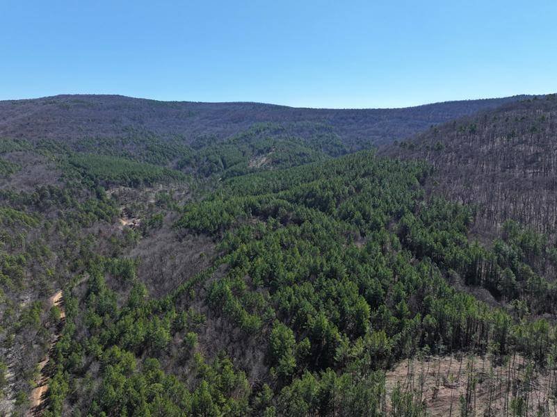 Land in Poteau, Oklahoma, United States 3 - 15904526