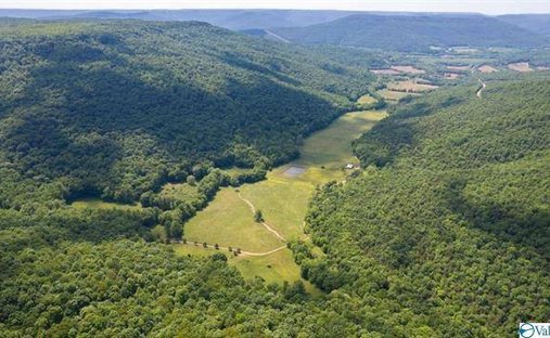 Land for Sale in Princeton Alabama - 507x312xc 